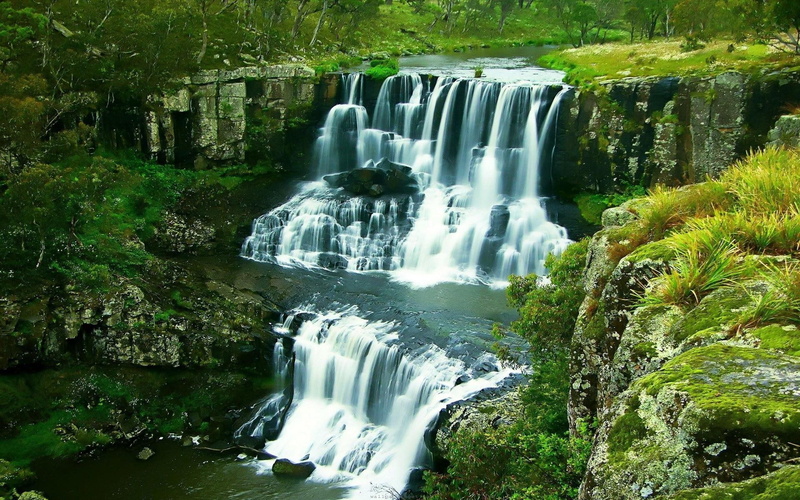 wales, rock, water, green, waterfalls, white, new, australia, trees, flowing, 1080P, guy, nature, grass, daylight, forest, ebor, falls, river, south, fawkes
