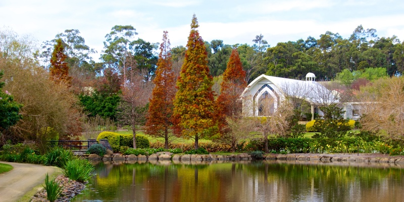 destination, trees, non-urban scene, concrete, calm, stream - flowing water, reflection, tourism, beauty in nature, growth, tranquility, no people, white