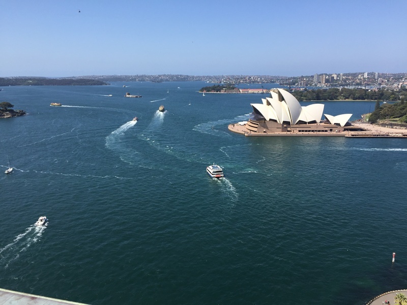 day, sydney skyline, nature, building exterior, skyline, sydney, travel destinations, travel, aerial view, passenger craft, waterfront, water, high angle view