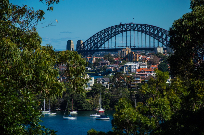 harbour, plant, connection, bridge, water, built structure, river, building exterior, arch bridge, outdoors, sydney, architecture, sky, bridge - man made structure