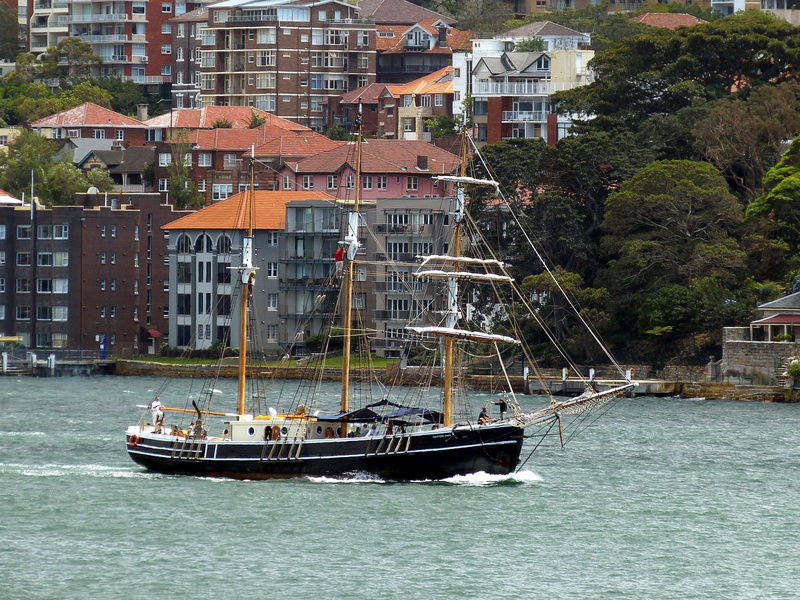 tourism, transportation, Australia, building, Water, built structure, ship, travel, City, sailboat, tree, nautical vessel, city, sailing vessel, holiday