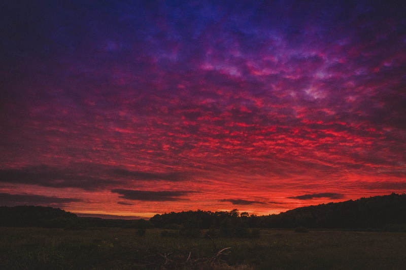 nature, space, sky, no people, astronomy, sunset, 5K, skylover, colors, trees, dramatic sky, darknes, hypebeast, night, environment, plant, tranquil scene