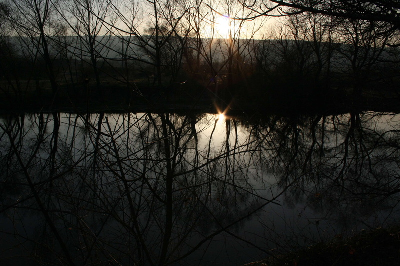 bare tree, plant, beauty in nature, reflection lake, darknes, forest, idyllic, scenics - nature, sky, nature, no people, outdoors, water, silhouette, tranquility