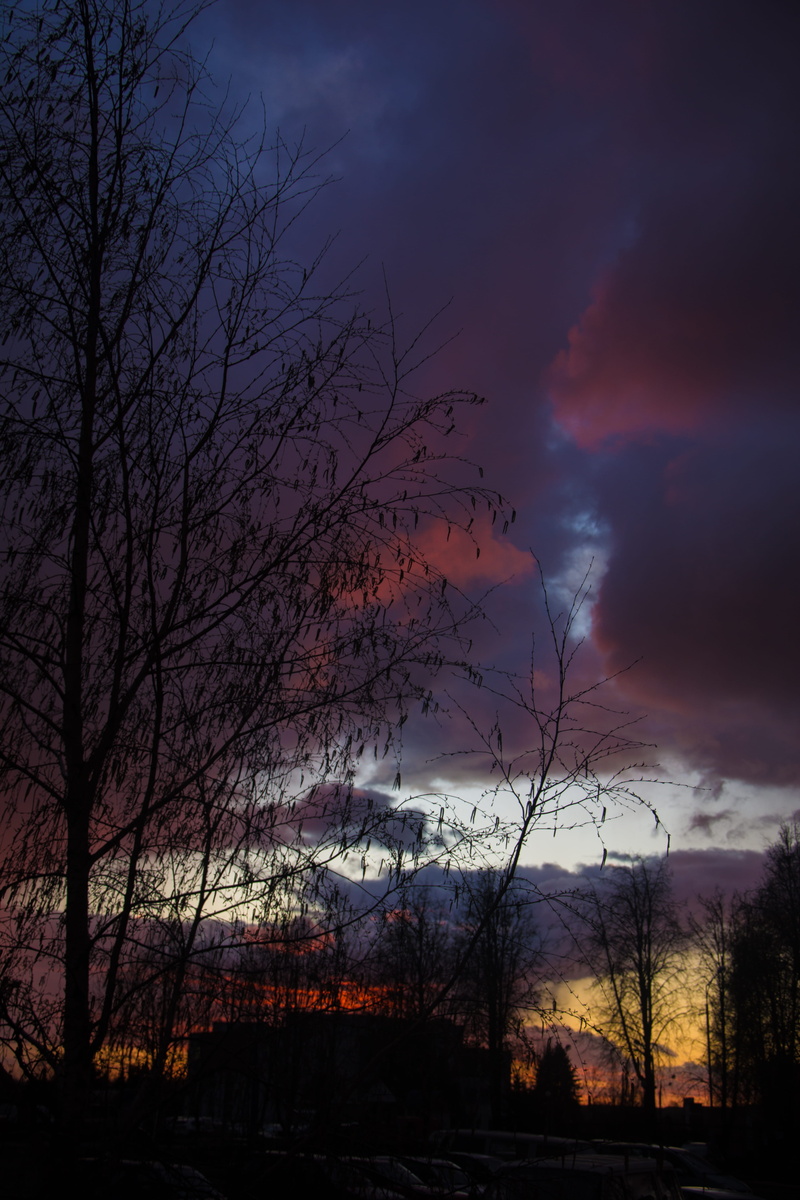 5K, orange color, branch, no people, atmospheric, light, love, non-urban scene, storm, dusk, beautiful, field, water, bare tree, tranquility, photo, idyllic