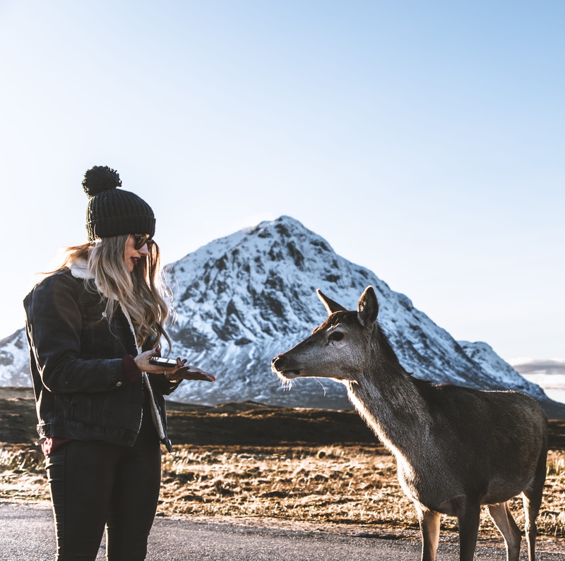 outdoors, three quarter length, domestic animals, standing, beside, 4K, black, animal, wearing, lifestyles, real people, adult, young adult, day, mammal