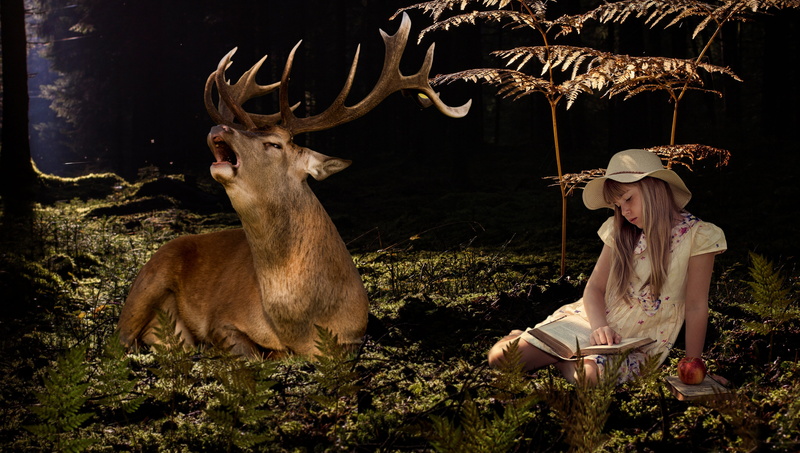plant, animal wildlife, hat, antler, sitting, wearing, buck, mammal, looking, hair, girl, near, wood, nature, beside, deer, outdoors, people, women, contemplation