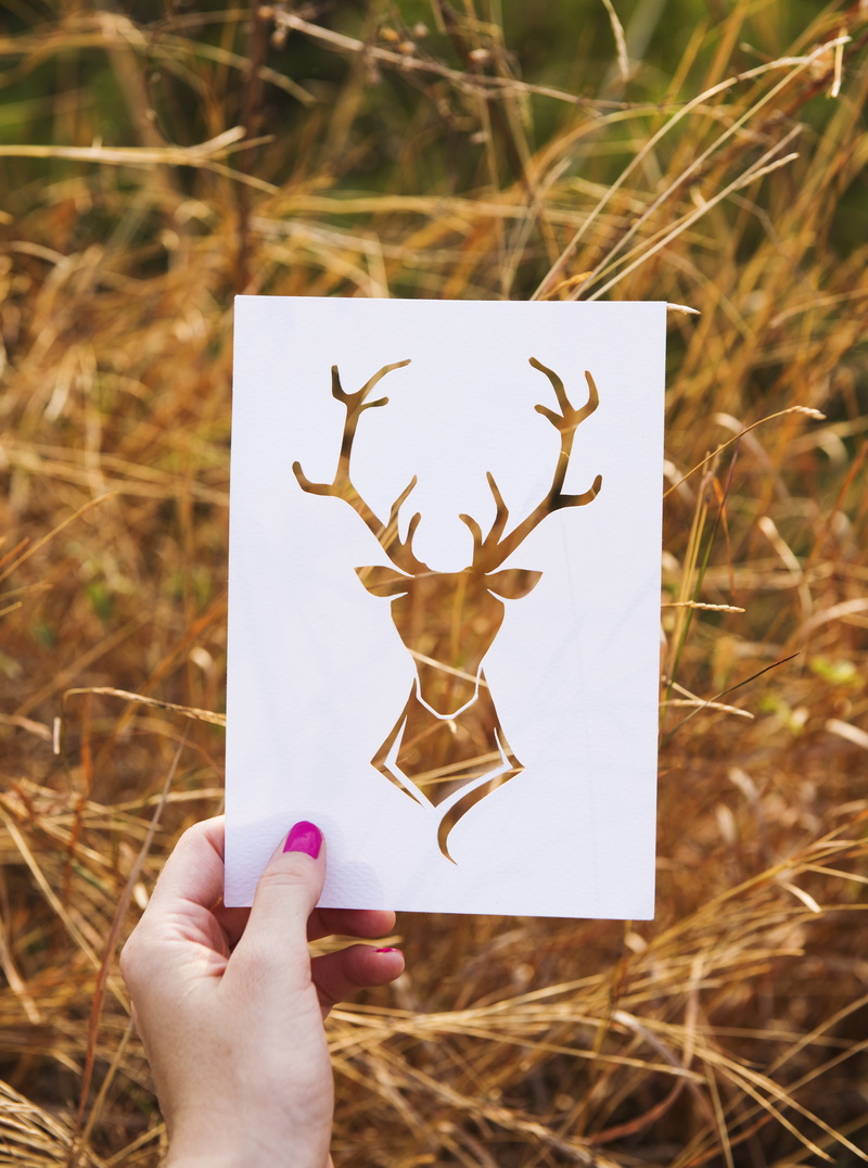 expedition, illustration, exploration, travel destination, route, frame, personal perspective, serenity, real people, antler, lifestyles, day, representation