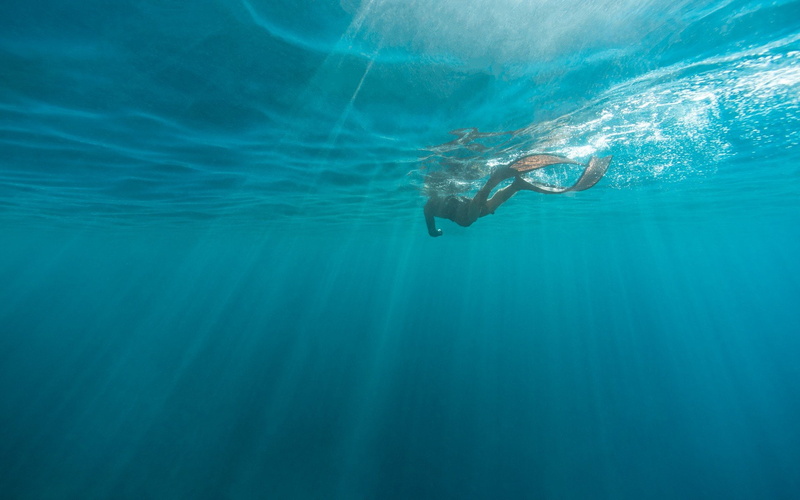 Swimming, Windows 10, 1080P, Microsoft Windows