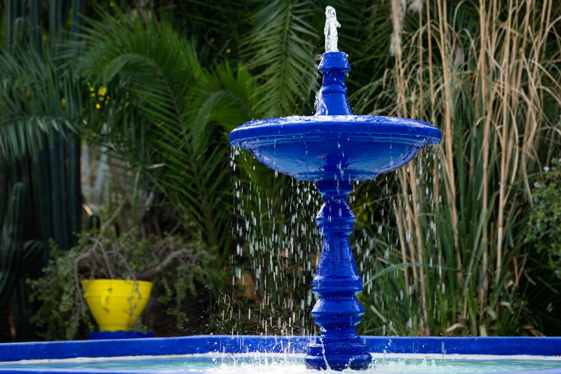 park - man made space, front or back yard, morocco, grass, focus on foreground, plant, outdoors, jardin majorelle, day, growth, marrakech, green color