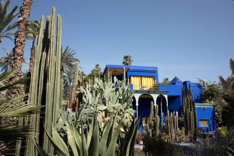 contrast, house exterior, nature, plant, building exterior, cactus, sky, no people, morocco, tropical climate, land, 4K, beside, garden, cacti, house