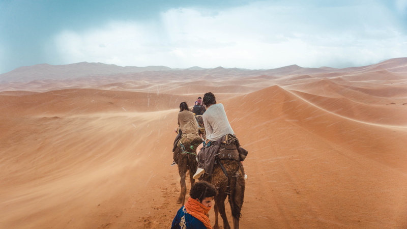 beauty in nature, climate, scenics - nature, desert, rear view, cloud - sky, 5K, domestic, sahara, marrakech, camels, mammal, morocco, land, rain, adventure
