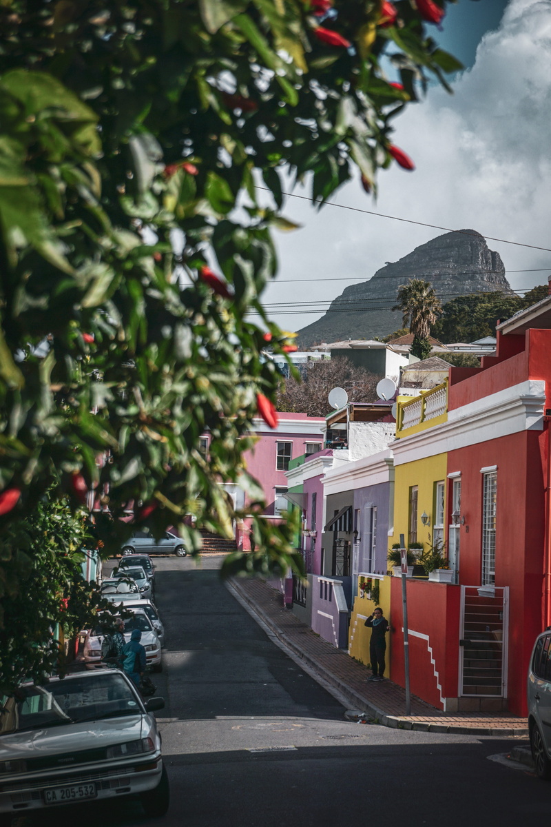 house, building exterior, 5K, car, transportation, planter, pottery, herbs, land vehicle, nature, city, tree, south africa, man, street, mode of transportation