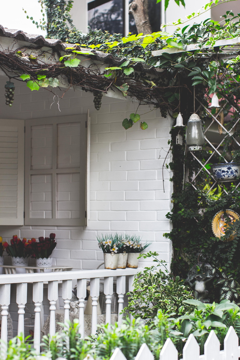 beside, vase, planter, building exterior, growth, picket, day, jar, outdoors, 5K, plant, fence, flora, no people, built structure, flower pot, pot, front or back yard