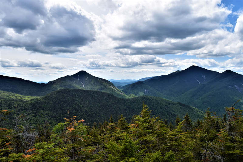 pine tree, travel destinations, non-urban scene, no people, woodland, green color, environment, tranquility, plant, cloud - sky, nature, tranquil scene