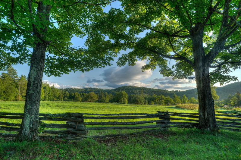 Adirondack, trees, the fence, meadow, the state of new York, New York, 1080P