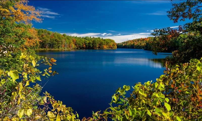 New York, lake, autumn, lake Rockwood, Adirondack Park, trees, the state of new York, The Adirondack Park, Rockwood Lake, branches, 2K