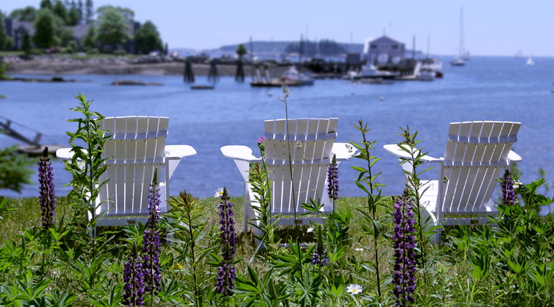 tranquil scene, lake, 4K, tranquility, outdoors, bay, grass, flower, beauty in nature, harbor, relax, adirondack chairs, day, focus on foreground, sky