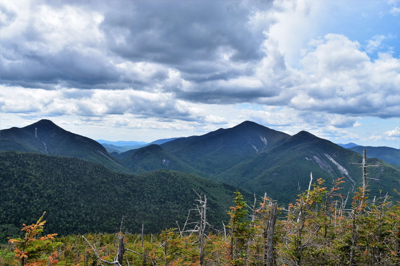 pine tree, landscape, beauty in nature, coniferous tree, 4K, tree, clouds, wild, travel destinations, adirondacks, land, sky, mountain peak, environment