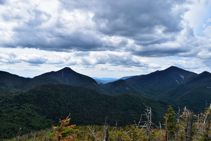 plant, clouds, scenic, no people, scenics - nature, tree, landscape, tranquil scene, 4K, beauty in nature, land, cloud - sky, nature, mountains, tranquility