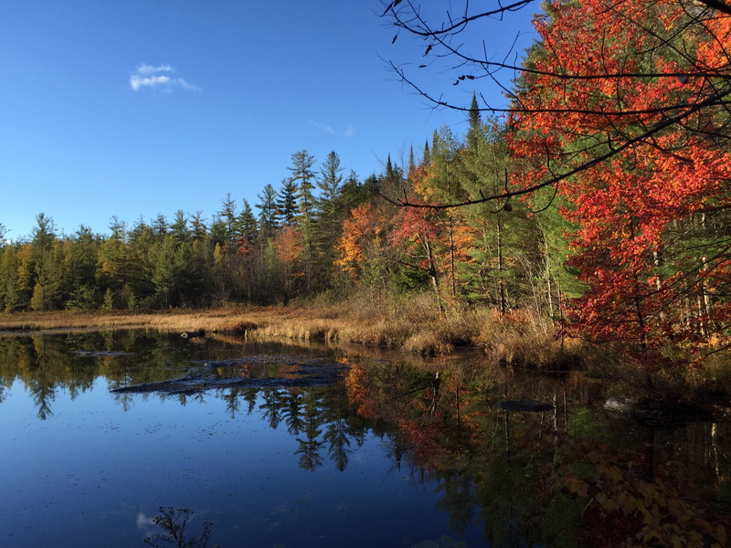 adirondacks, landscape, nature, lake, forest, no people, plant, land, water, scenics - nature, non-urban scene, tranquil, sky, natural, outdoors, pond