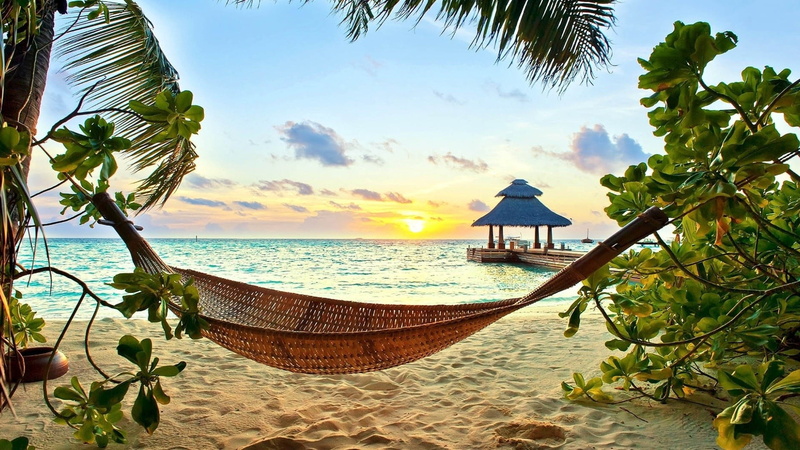 brown, sunlight, outdoors, leaf, sunny, lounger, plant, sky, nature, tourist Resort, scenics - nature, 1080P, wicker, tree, island, sun, palm Tree, sunset
