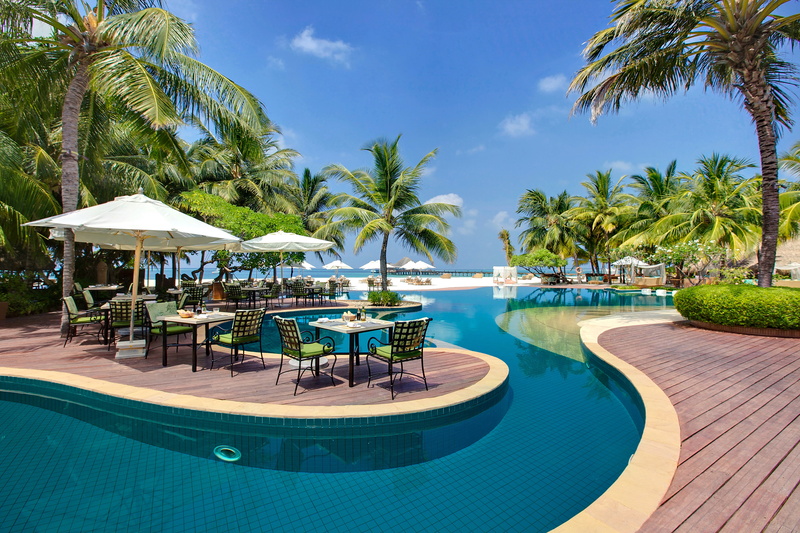 outdoor chair, patio, relaxation, palm trees, trees, scenics, turquoise Colored, recreational Pursuit, pool, leisure Activity, land, no People, travel