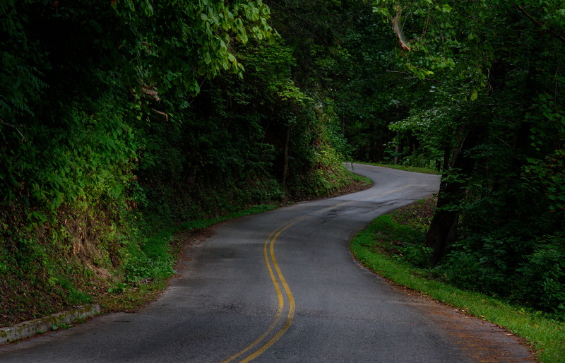 nature, tranquil scene, forest, long, plant, tennessee, curve, day, wet, transportation, trees, water, united states, 5K, road, the way forward, no people