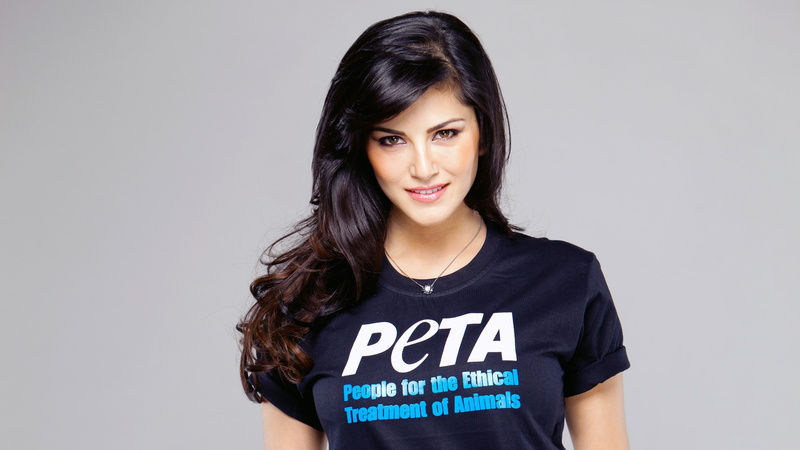 crew, 4K, dark, shirt, 4K, blue, Sunny Leone, PETA, wears, woman, neck