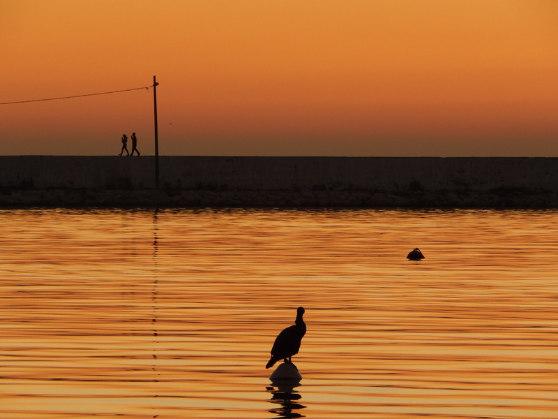 cue, scenics - nature, tranquility, sunset, silhouette, water, orange color, outdoors, sky, wooden, night, reflection, sea, bird, beauty in nature, stick