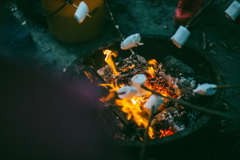 hand, burn, food, flame, hot, summer, heat - temperature, campfire, outdoor, selective focus, nature, marshmallows, coal, human hand, burning, marshmellow