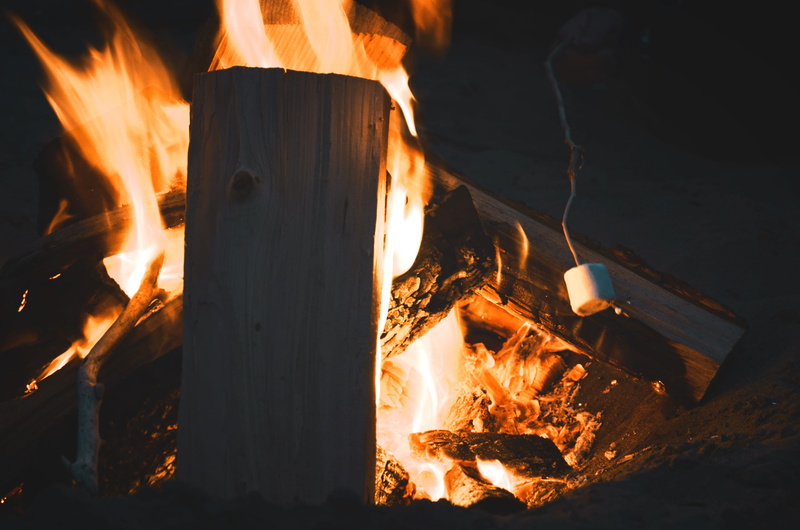 glowing, flame, nature, camp fire, motion, fire, 4K, no people, firewood, pachena campground, log, roasting marshmallows, close-up, wood stack, wood - material