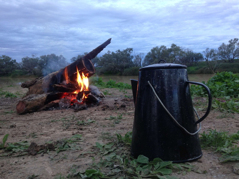 billy, container, cloud - sky, fire, campfire, camp, tree, 2K, day, cloudy sky, plant, wood - material, camping, flame, nature, burning, fire - natural phenomenon