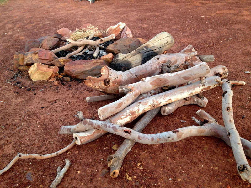 no people, dry, nature, high angle view, animal, land, food, camping, driftwood, camp, sunlight, field, still life, tree, wood - material, 2K, logs, wood
