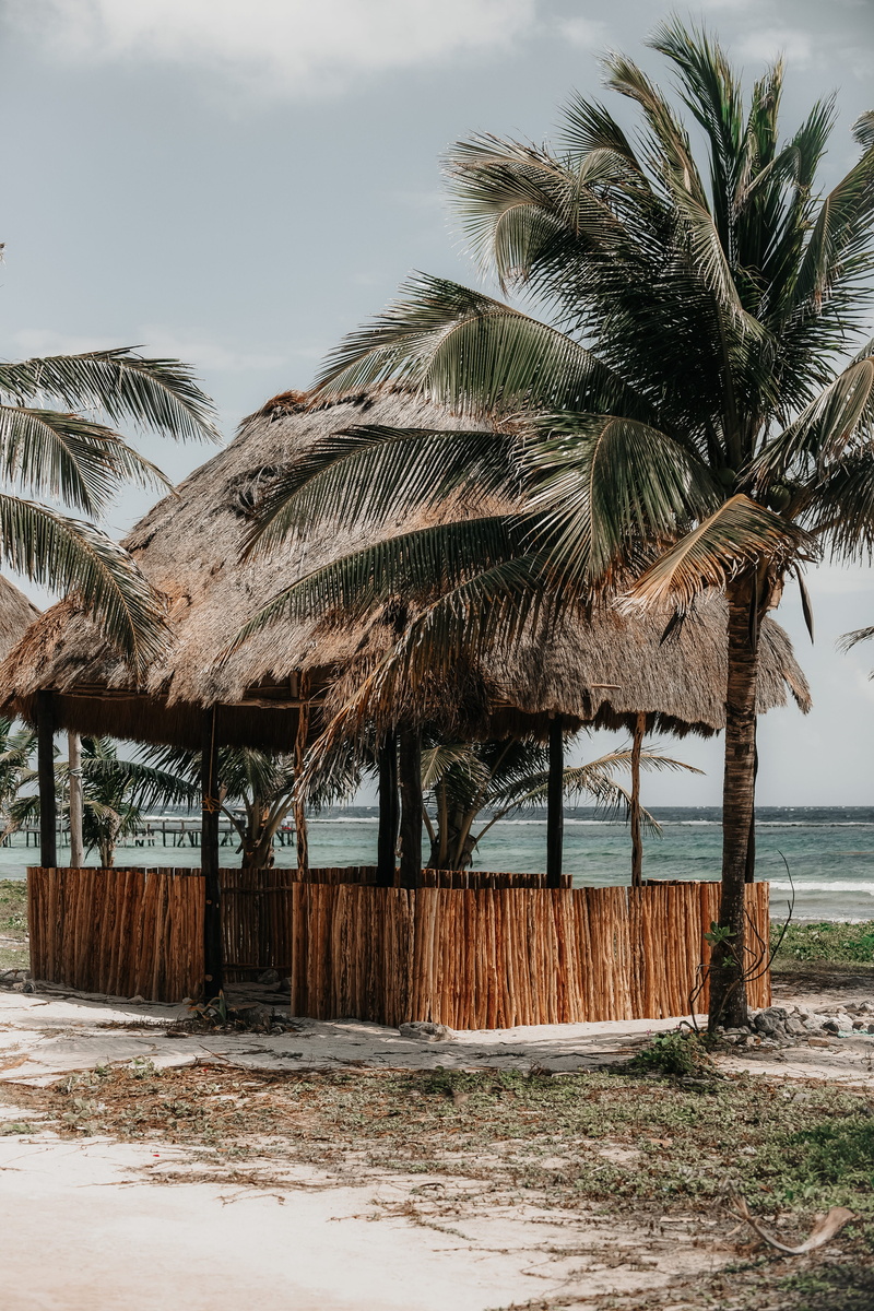 horizon over water, plant, growth, beauty in nature, sea, thatched roof, nature, palm tree, no people, water, beside, outdoors, hut, tropical climate, tree