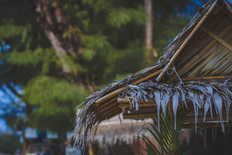 wood - material, growth, photo, daylight, hut, built structure, 5K, outdoors, nipa, nature, plant, building exterior, environment, palm leaf, selective focus