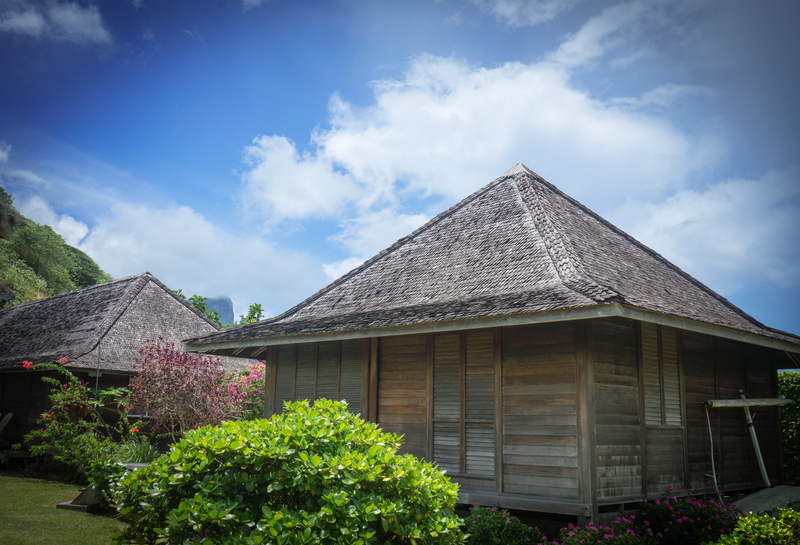 flowering plant, building exterior, nipa, outdoors, outdoor, clouds, garden, cultures, nature, house, low angle view, growth, brown, wood - Material, sky