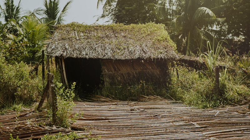 scenic, brown, 4K, tropical, grass, architecture, no people, summer, plant, beauty in nature, nipa, daylight, photo, wood - material, shed, tree trunk