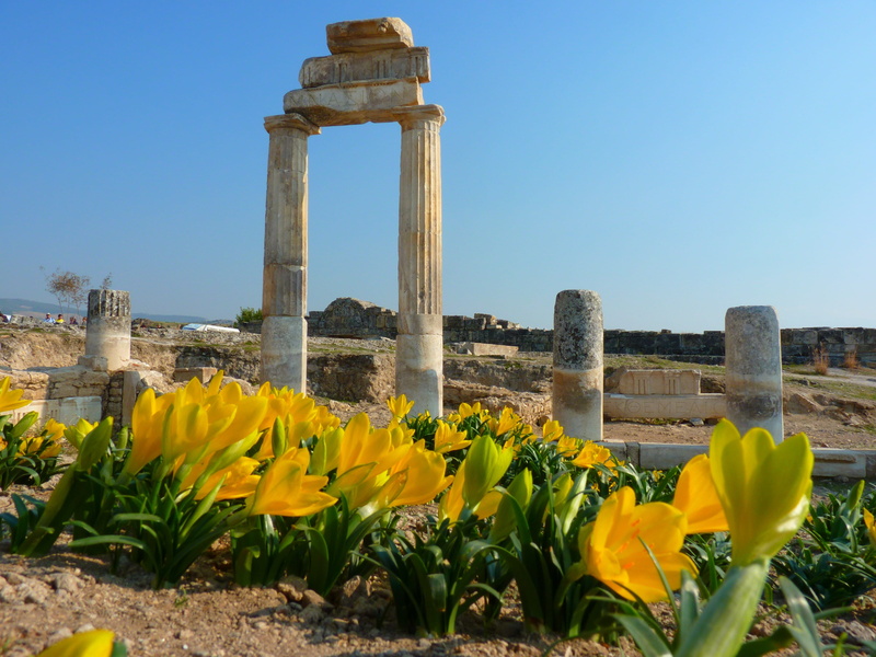 deterioration, hierapolis, flower, travel destinations, damaged, sky, architectural column, ancient, built structure, 4K, unesco, old ruin, nature, flowering plant