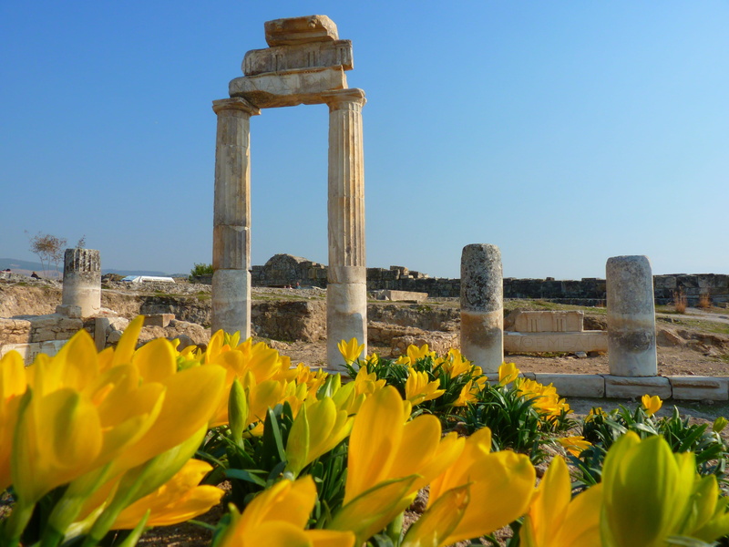 nature, unesco, Ancient, history, flowering plant, old ruin, architecture, outdoors, the past, no people, archaeology, autumn crocus, sky, plant, travel