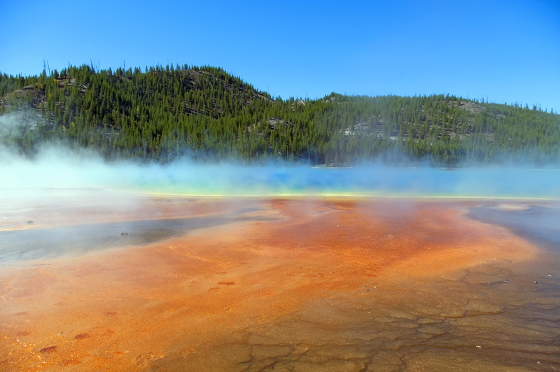 tree, plant, scenics - nature, water, power in nature, wyoming, spring, travel destinations, vapors, nature, spectrum, geyser, geology, landscape, grand