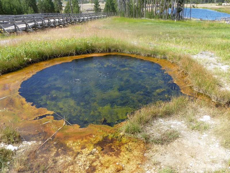 green color, geological, basin, reflection, tree, 4K, no people, grass, tranquility, geyser, geology, yellowstone national park, outdoors, geothermal