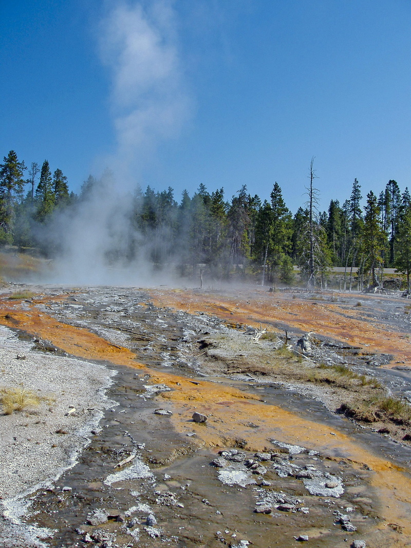 Usa, tree, 2K, smoke - physical structure, physical geography, geyser, power in nature, nature, heat - temperature, day, steam, wet, scenics - nature