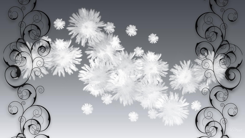 cotton, 3d and abstract, flowers, elegance, fluffy, firefox persona, fluff, white, silver, gray, scroll, 1080P