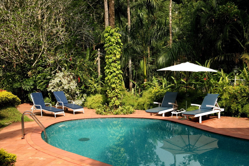 tranquility, nature, seat, absence, 1080P, day, chair, poolside, tourist resort, lounge chair, swimming pool, growth, green color, plant, water, tree
