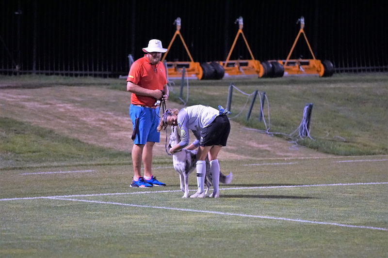seattle reign, nwsl, washington spirit, maryland soccerplex, shorts, 5K, real people, domestic, vertebrate, outdoors, people, sport, day, one animal, domestic animals