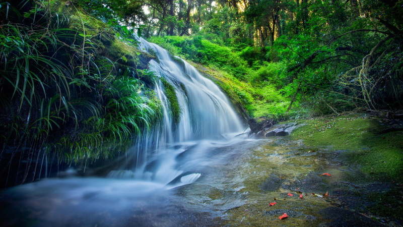  river, hd, 4K, forest, definition, grass, waterfall, thailand, green, high