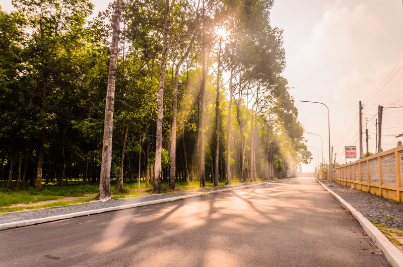 light, vietnam, background, architecture, street, brown, fence, travel, no people, the morning, asia, metal, scenery, dawn, day, trees, sky, outdoors, natural