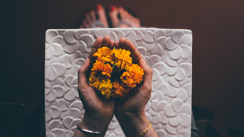 hand, flower, pc, body part, one person, flower arrangement, 5K, sunlight, nature, person, friend, orange, plant, fragility, human limb, nail
