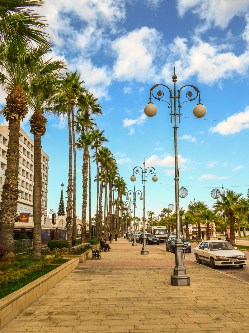 direction, palm trees, waterfront, sky, lamp, nature, street, city, larnaca, cloud - sky, outdoors, tree, palm tree, cyprus, finikoudes, treelined, tropical climate