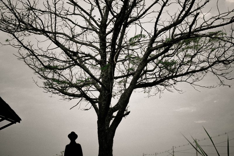 real people, soul, rear view, tree, day, silhouette, beauty in nature, low angle view, tumblr, trunk, outdoors, randb, sky, scenics - nature, hipster, bare tree